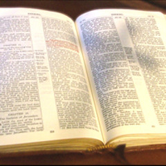 "Unconditional Love" Album Preview