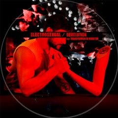 Electrosexual - Devolution feat.Transformer Di roboter -1- Single Version