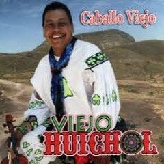 viejo huichol la arana