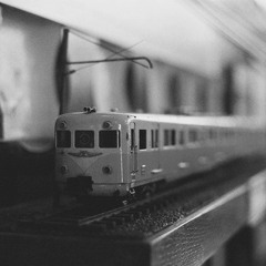 جَرحِي العَنيد*