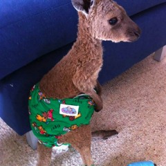 Flick of the Finger (Remix)