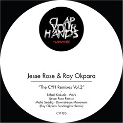 Malte Seddig - Downstream Movement (Ray Okpara Sunderglow Rmx)  - CYH26