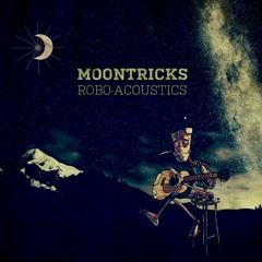 Robo-Acoustics