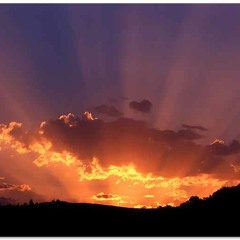 En Busca De El Camino| Baeck| ModoswLm