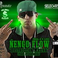 Tributo Ã‘Ñengoo Floww 2013 /Hoover isaza/