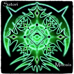 Satori - Should or Should not