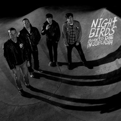 Night Birds - "Born to Die in Suburbia/Modern Morons" - Born to Die in Suburbia LP