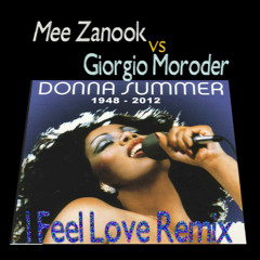Mee Zanook VS Giorgio Moroder iPolysix workout - I Feel Love Remix