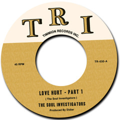 Love Hurt - The Soul Investigators