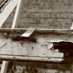 3am in the greenhouse