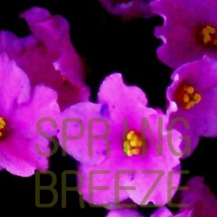 Spring Breeze