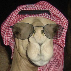 A06 - arab bahlul