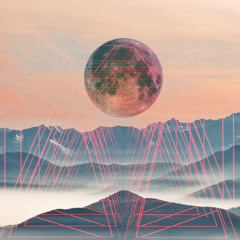 Blackbug: Reflecting The Light