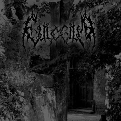 05 Admidst the Storm