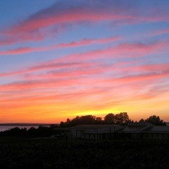 50 Feet South of the SBB (South Boston Bypass)