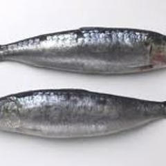 A Sardinha Apaixonada