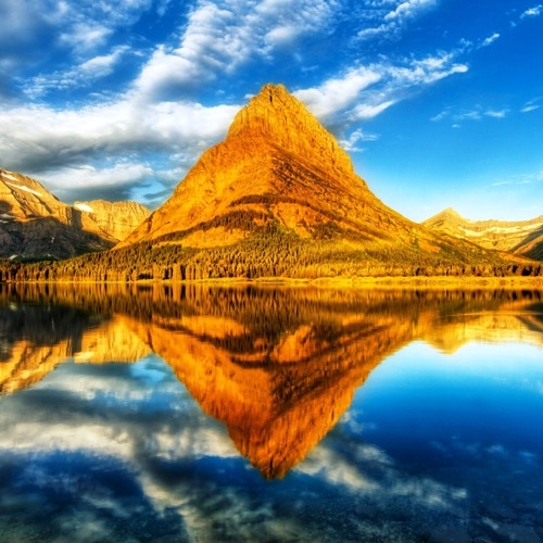 DRAGONFLY ::: ~ {{  { ON  KARMA }  }} ~ :::