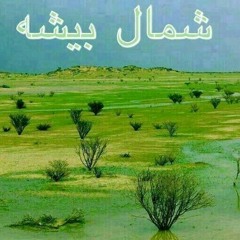 يامل قلبي على بيشه_ محمد الشهراني