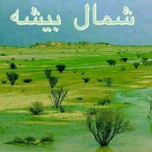 يامل قلبي على بيشه_ محمد الشهراني