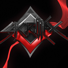 Skrillex feat. Ellie Goulding, Kill The Noise - Summit (Alvin Risk Remix) (Re-edit)