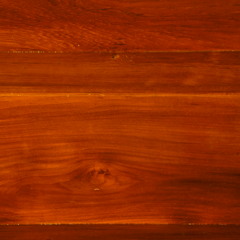 Recording Art: Bird and Human, Ambience and Reconstruction