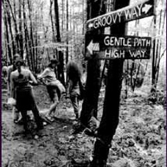 The Extended Mix 013