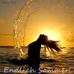 Niklas Thal - Endlich Sommer! (Mix) [FREE DOWNLOAD]