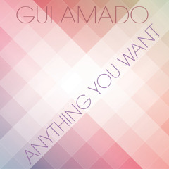 Gui Amado - Anything You Want (Original Mix)