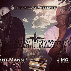 Puffin On A Private Plane Ft.jmo