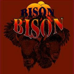 Rivertown - Bison, Bison