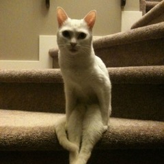 Promo for Tech Love NYC:::June 6th, 2013