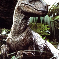 Clever Girl