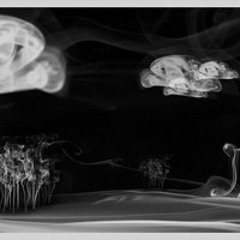 Diezcuatro y grive - Lo mio es