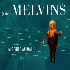 The Melvins - A History of bad man