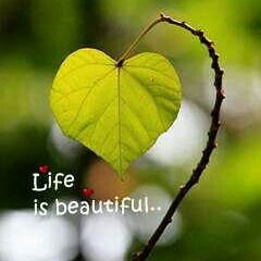 (Cover) Miranda Cosgrove - Kissing You