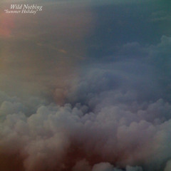 Wild Nothing - Vultures Like Lovers