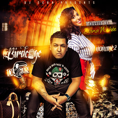 DJ 2CAN - THE BIRDCAGE VOL. 2