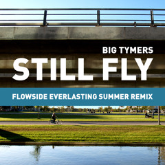 Big Tymers - Still Fly (Flowside Everlasting Summer Remix)