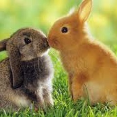 10 Bar Phyit Phyit - Han Tun @ MAMC