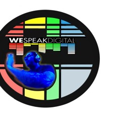 04 Digital FrameworK - out of mind