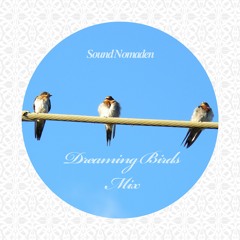 Sound Nomaden - Dreaming Birds Mix