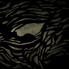 Architeuthis Rex - Untitled No. 1