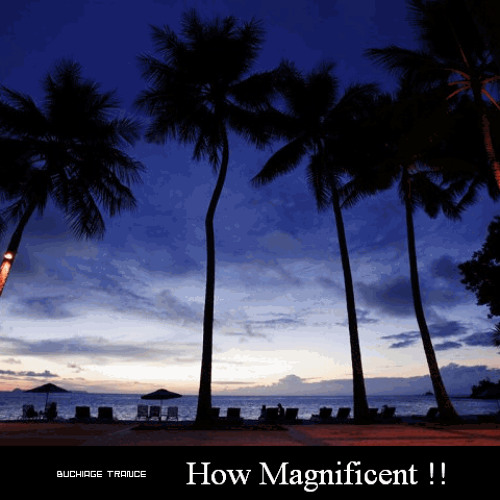 Personative - How Magnificent !!