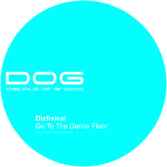 Go To Dancefloor (Disko Selectors Reinterpretation) (teaser)
