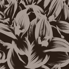 Ortrotasce - At Your Last Breath (Bonus track only available for the digital version)