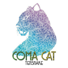 Tensnake - Coma Cat (Slashed Zerø Edit)