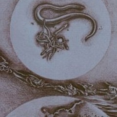 Die Welt wird Tlön sein (Orig. performance 5/17/2013)