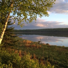 Loon Calls