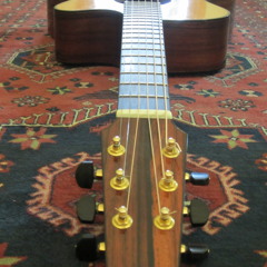 Alex de Grassi - Special Event 19 - 08 - The Water Garden - 96kHz