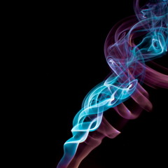 Urban Hermit - Sunbird Powerlines